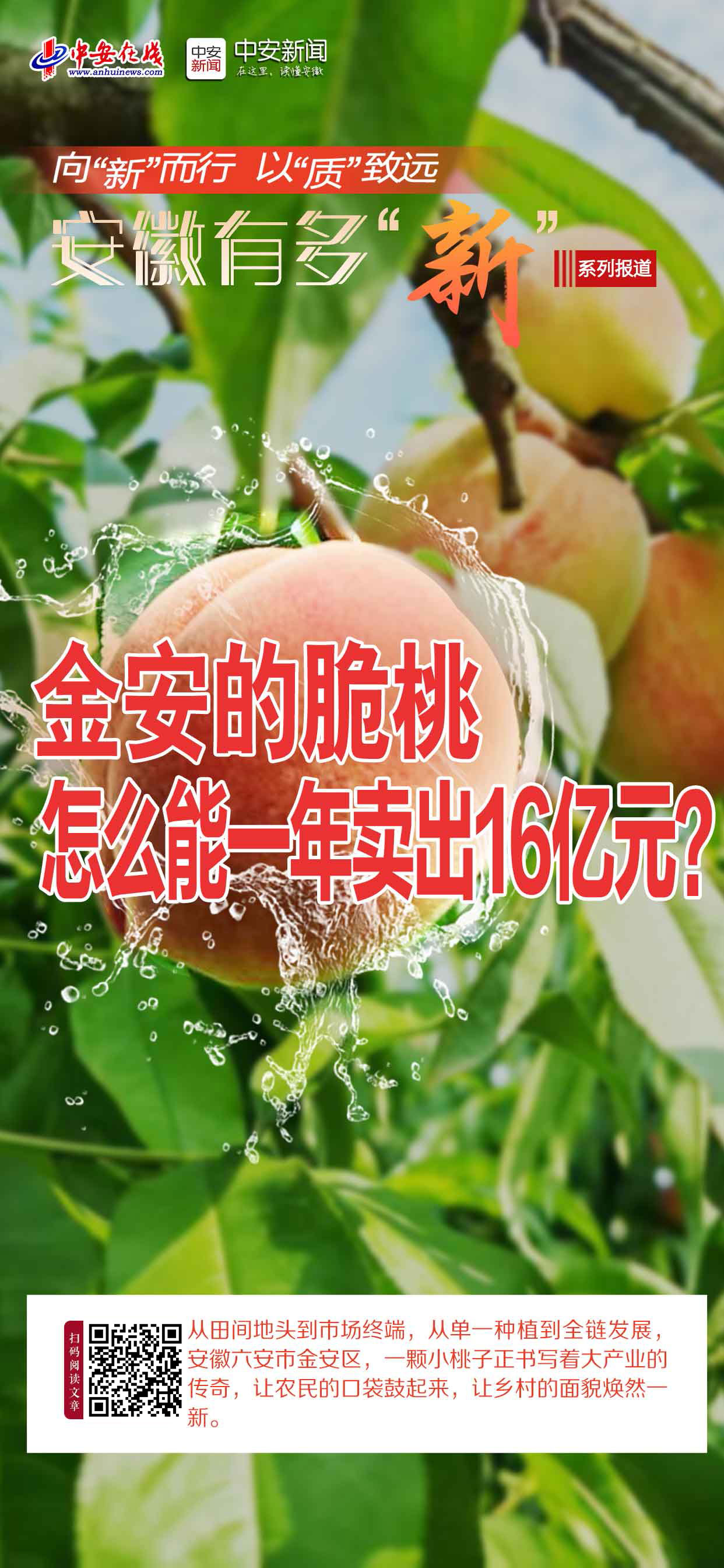 0.jpg 0.jpg
