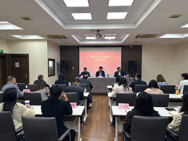 20240409闵行区审计局党组在319会议室召开工作汇报会3-王俊.jpg