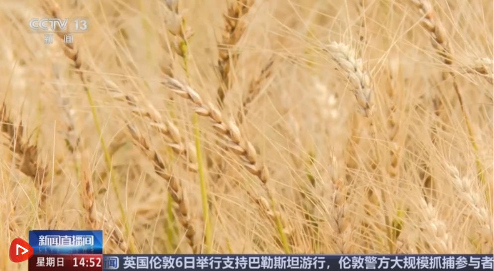 QQ20250907-194426.png
