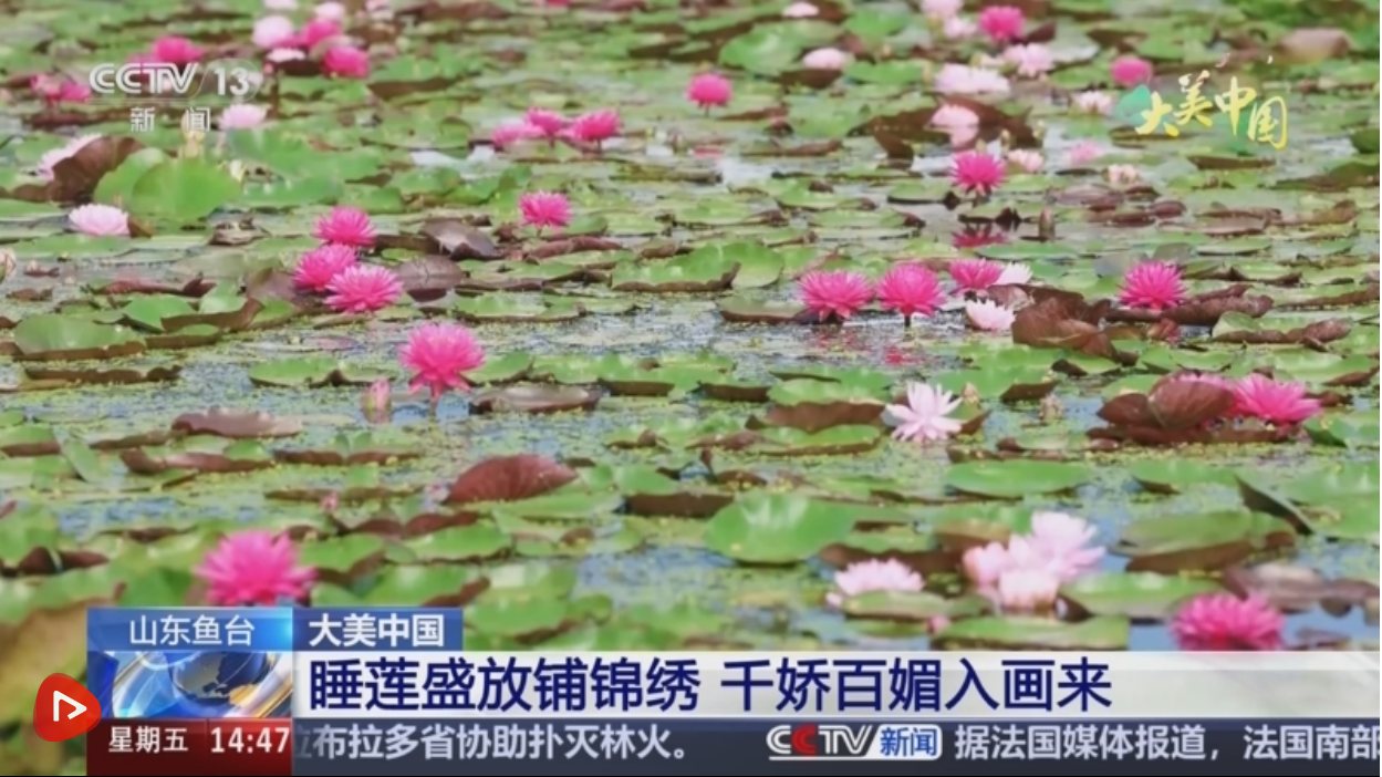 b91f1ae7-57bb-4ea8-be4b-76a1f3601eb1.png