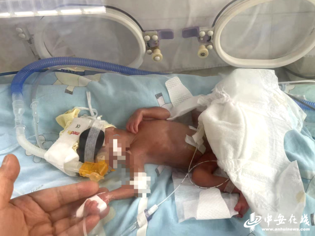 微信图片_20250616153554.png 微信图片_20250616153554.png