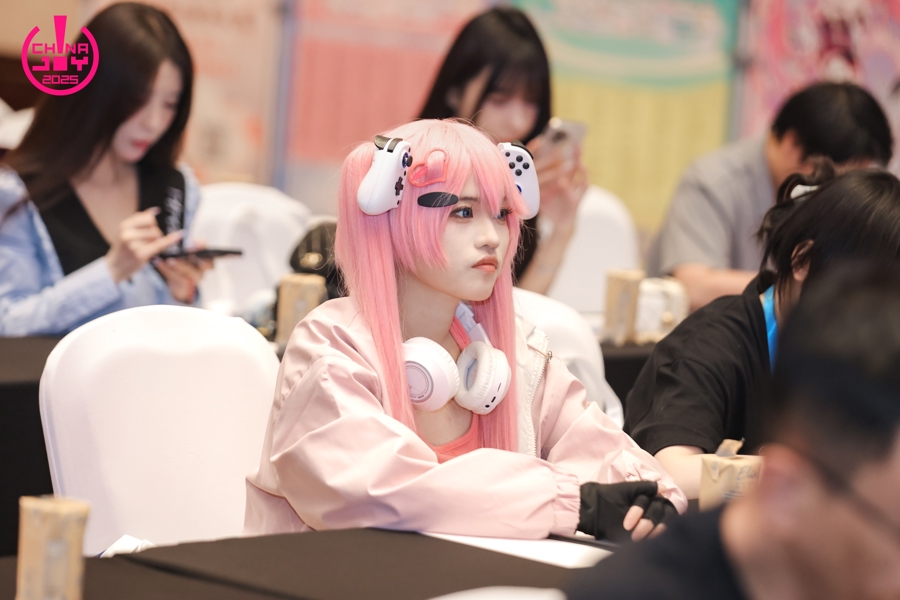 二次元爱好者