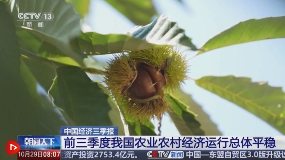 QQ20251030-152716.png QQ20251030-152716.png