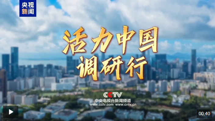 11.png 11.png