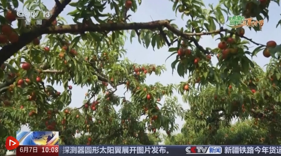 QQ20250608-091158.png
