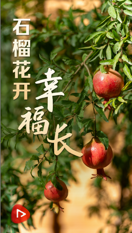 ca93332e-0d1f-4203-9485-ecc24377c150.png