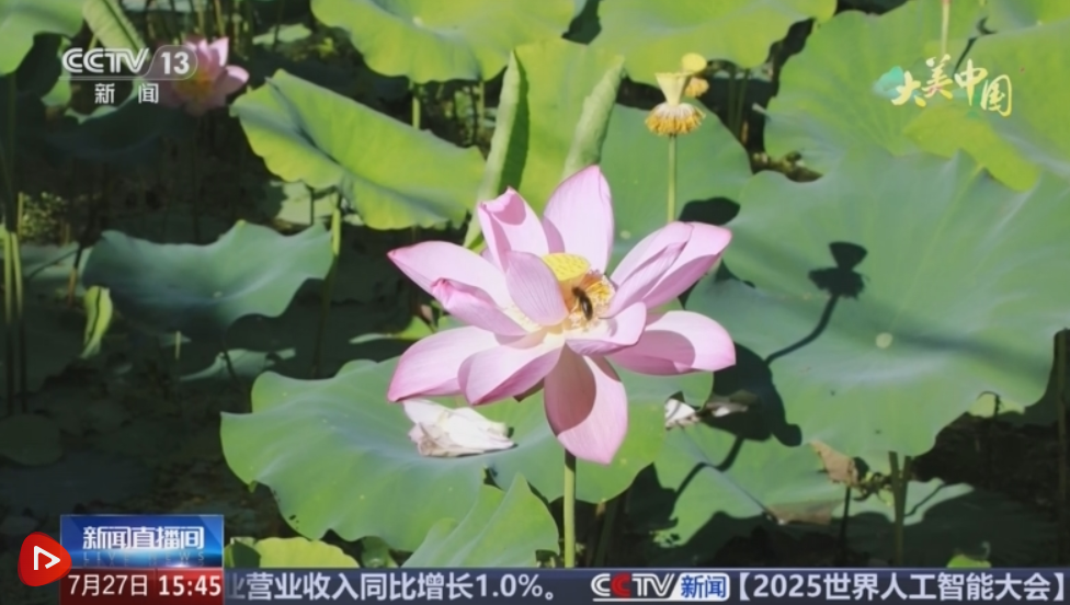 QQ20250727-220048.png