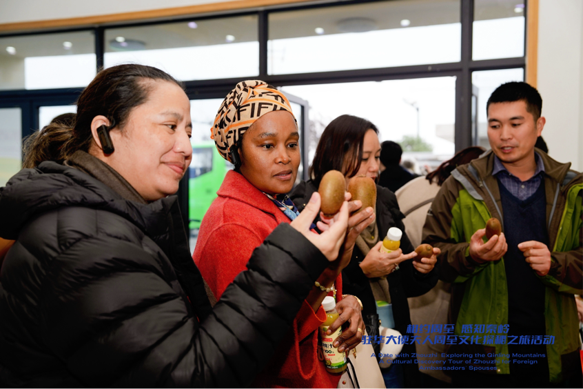 从秦岭沃土到“丝路甜果” 驻华大使夫人见证中国乡村产业振兴之路_fororder_图片36