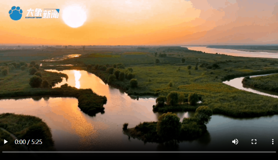 d921a8c8-45de-4708-a425-be0a7e2b2b4b.png
