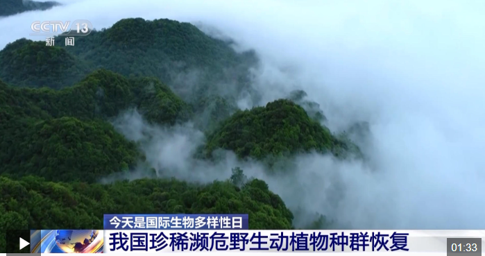 QQ20250522-221209.png